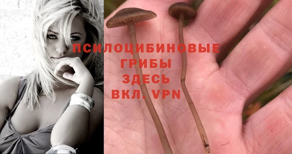 гашик Абаза