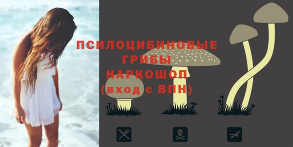 сатива Абдулино