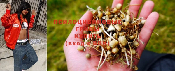 сатива Абдулино