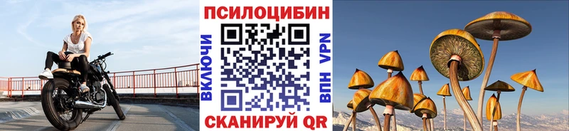 где можно купить наркотик Сергач Псилоцибиновые грибы GOLDEN TEACHER