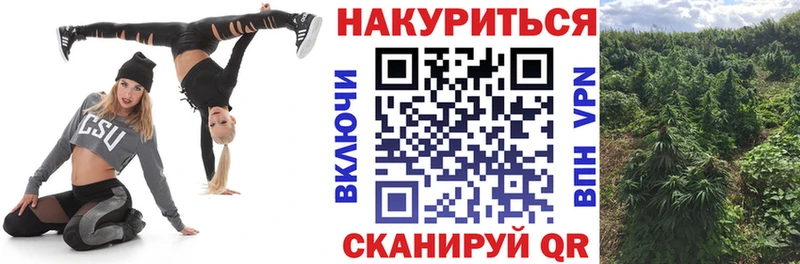 Марихуана SATIVA & INDICA  KRAKEN зеркало  Сергач 